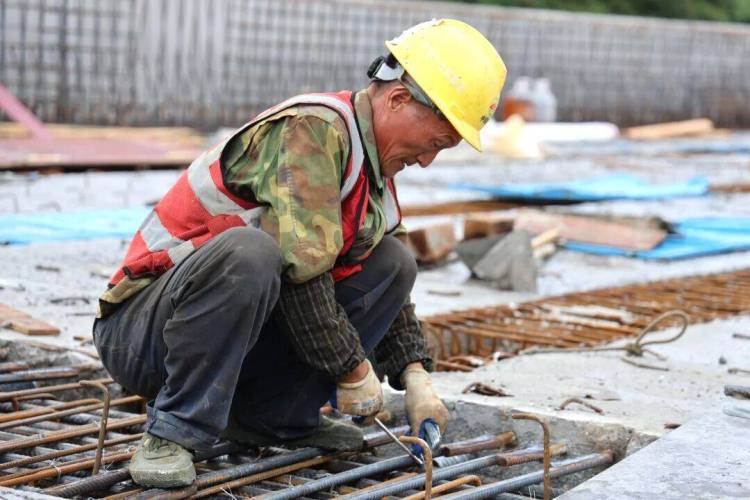 來自安盤高速建設工地的報道丨巨龍穿越“花木樹”