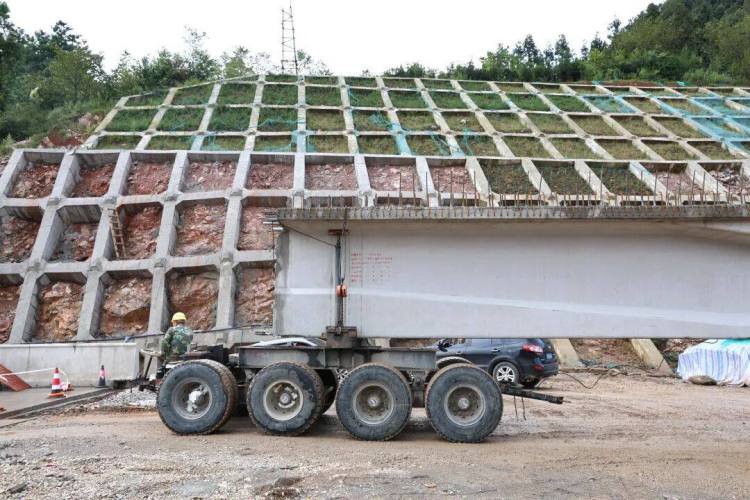來自安盤高速建設工地的報道丨巨龍穿越“花木樹”