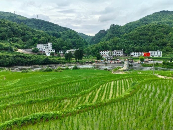 貴州修文龍場街道：立查立改解決群眾“飲水難”_fororder_07623ae1859e495e98d17e38e734f41e_s