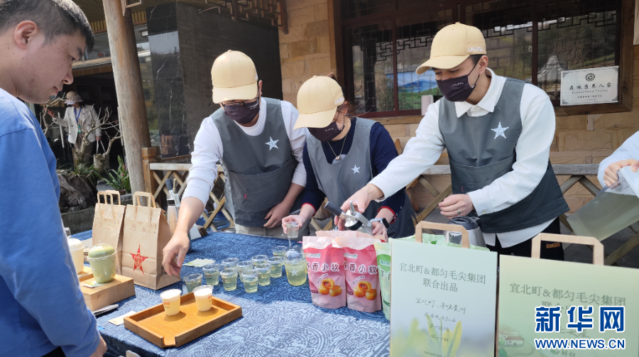貴州“觀茶”：産業鏈上起“新枝”_fororder_202504080890a7f6ab7545789c05e01883e245c1_202504073d2e4c4a4ae74009a06f7cd575f8b071