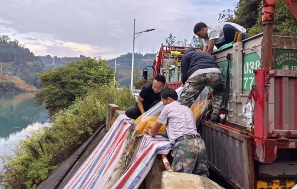貴州水城：60多萬尾優質魚種“安家”雨汪河水庫 助力生態治理與漁業發展_fororder_4_副本