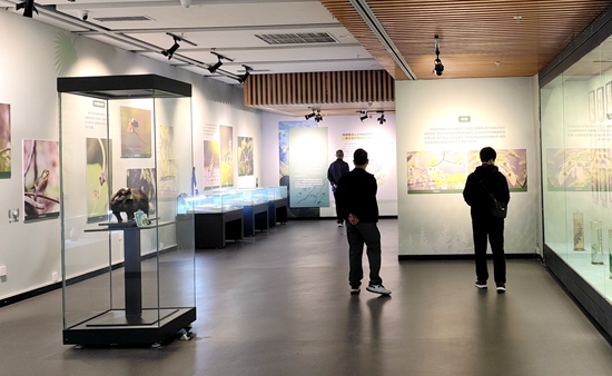 “山水新顏——貴州省國土空間生態保護修復成效展”在貴州省地質博物館開展_fororder_遊客們自由參觀貴州省國土空間生態保護修復成效展
