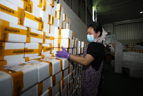 郵儲銀行護航六龍豆干香飄全國_fororder_圖4 (1).JPG