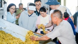 國家中藥材産業技術體系太子參單品種攻關工作會議在貴州施秉舉辦
