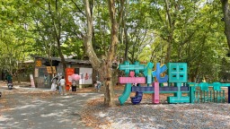 工業遺産如何活化利用？到貴州看紅磚墻裏的“時光疊影”！