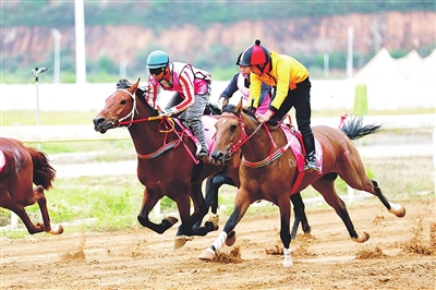 圖片默認標題_fororder_qnrb1028001_009_01_b