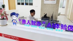 【2025數博會】“貴人智辦”深度賦能——重構政務服務新圖景