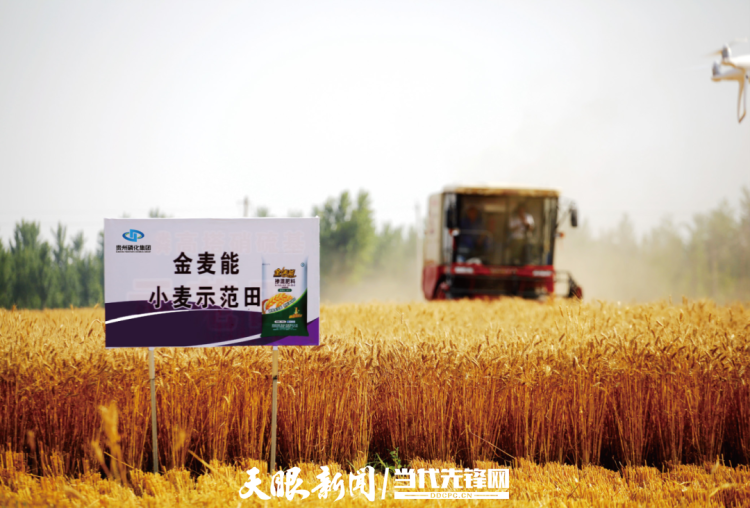 西部陸海新通道貴州行｜磷肥借勢新通道 向南奔赴“山海約”