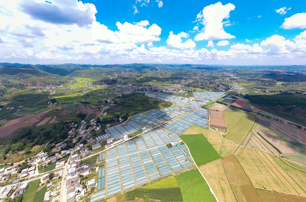 貴州威寧自治縣：農業産業編織“夏日田園畫”_fororder_威寧自治縣雙龍鎮水潮村蔬菜種植基地。（無人照片  岳剛  攝）