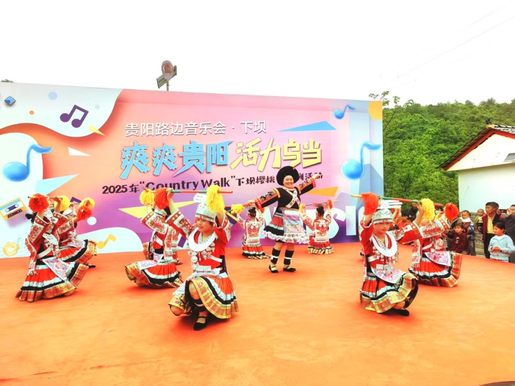 貴陽市烏當區下壩鎮： 小櫻桃孕育“甜蜜經濟” 奏響鄉村振興“致富曲”