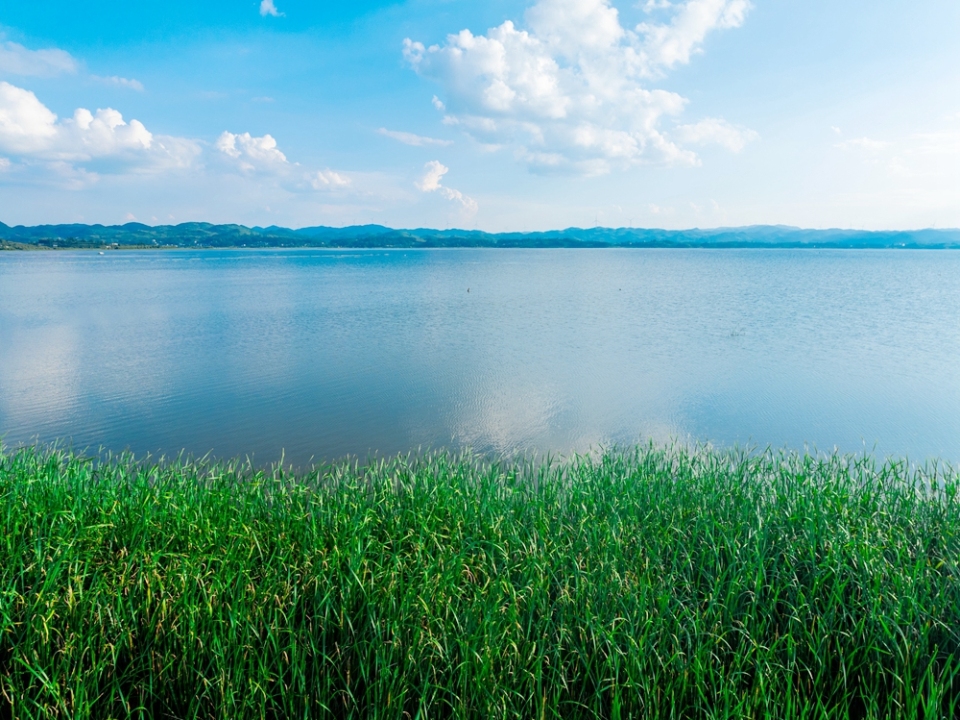 貴州威寧草海17℃“涼”方 生態活力引遊客打卡_fororder_7月30日，岸邊的草海一望無際+管慶巍  攝+18908571373 +2025年7月30日拍攝于威寧草海