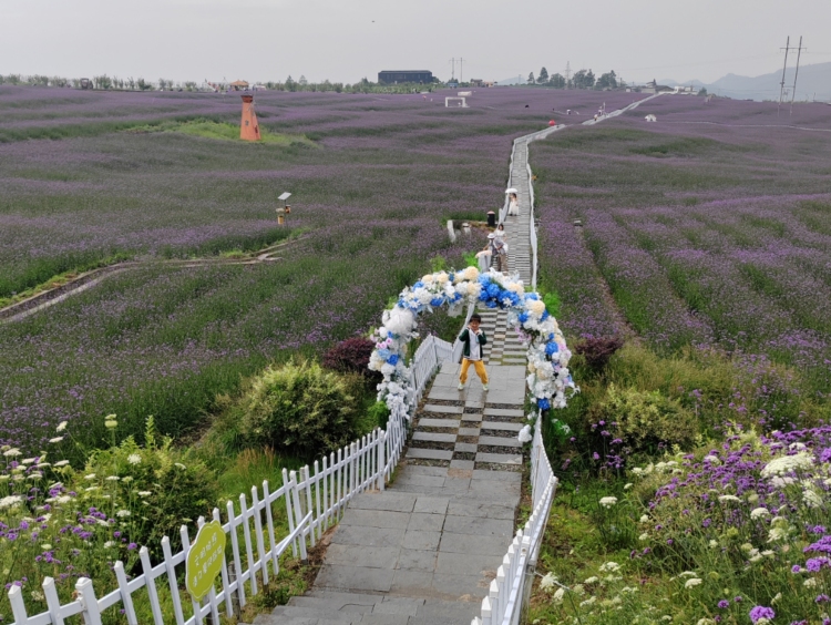 貴陽市花溪區：綠滿田園 沃野生金_fororder_55