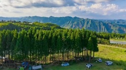 “康養水城·清涼一夏”避暑季啟幕 貴州水城以多元體驗迎八方賓客
