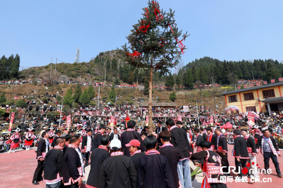 六盤水市六枝特區梭戛鄉舉行苗族“跳花節”活動_fororder_圖片4