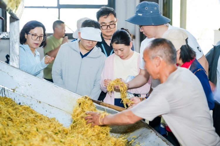 國家中藥材産業技術體系太子參單品種攻關工作會議在貴州施秉舉辦_fororder_44