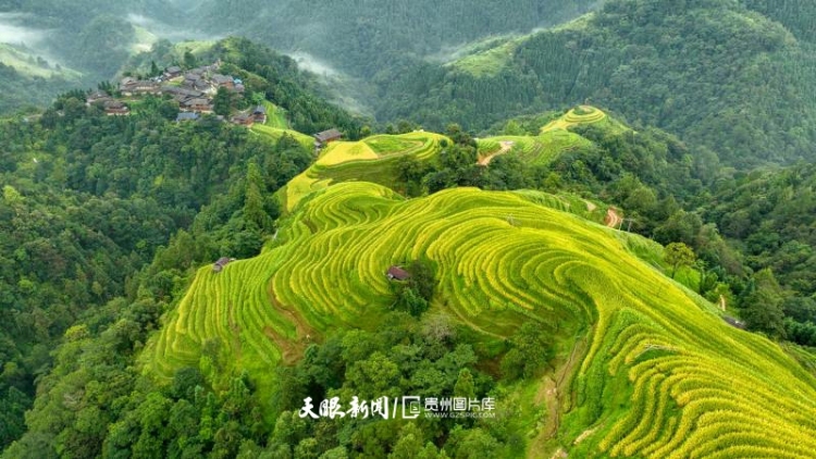 夏日爆火後，秋天的貴州還有這些寶藏等你解鎖！