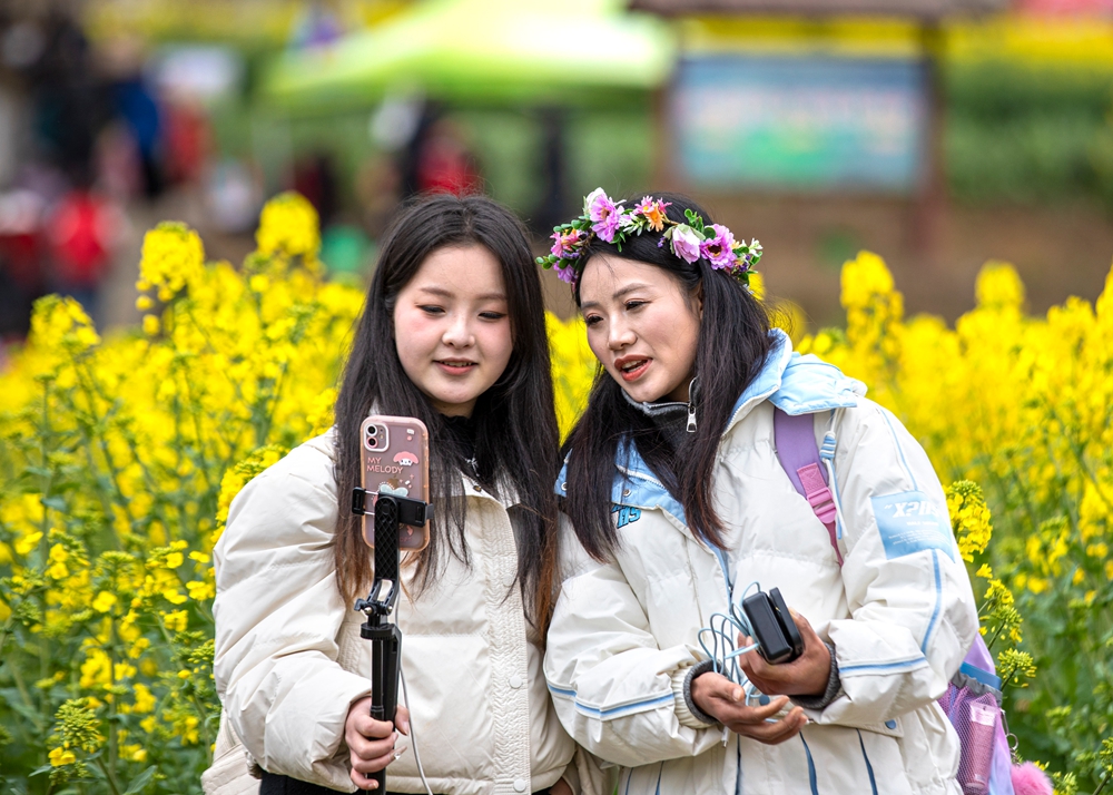 貴州黔西：春光無限好 賞花正當時_fororder_2025年3月15日，當地網絡達人在貴州省畢節市黔西市洪水鎮鄉村旅遊景區油菜花田裏直播。4T9A4304.JPG