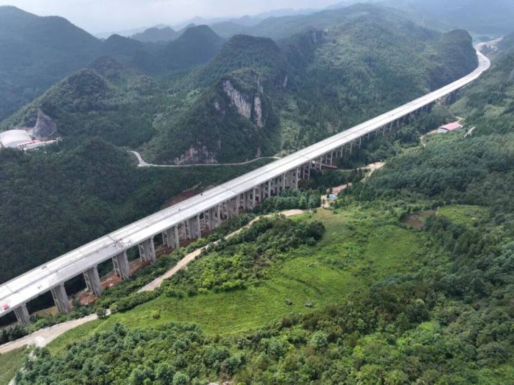 來自安盤高速建設工地的報道丨巨龍穿越“花木樹”
