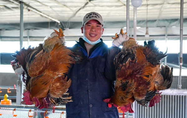 清鎮“新春第一會”召開！吹響奮進“十五五”衝鋒號_fororder_44444