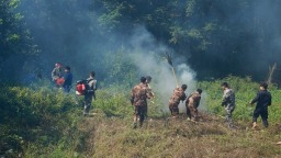 貴州省羅甸縣開展2025年森林防滅火能力提升培訓及實戰演練