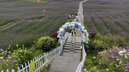 貴陽市花溪區：綠滿田園 沃野生金