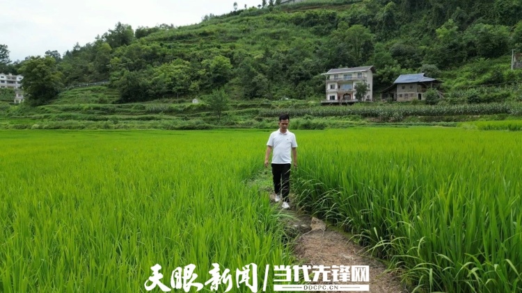 螢火微光 願為其芒——駐村幹部唐元熙人物素描