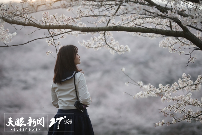 春花爛漫｜解鎖貴州旅遊新“花”樣_fororder_17428648199781