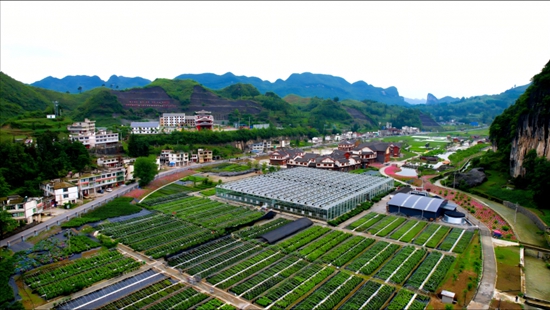國家花卉工程技術研究中心高山杜鵑創新中心落戶畢節_fororder_1750295070178