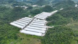 營商“沃土”育産業“金蛋” 貴陽清鎮農業招商會見證“服務優+産業強”雙優勢