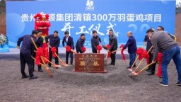 貴州百順清鎮300萬羽蛋雞項目開工儀式舉行