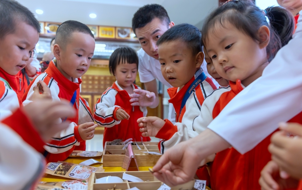 貴州施秉：課外實踐感受中醫文化獨特魅力_fororder_2025年9月25日，貴州省黔東南苗族侗族自治州施秉縣第四幼兒園的學生在施秉縣民族中醫院醫生的指導下學習認識中草藥。（磨桂賓 攝） (3)