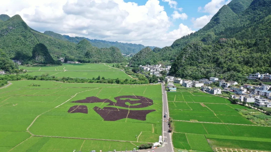 興義萬峰林：避暑遊玩的清涼勝地