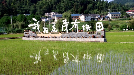 貴州遵義花茂村：打造花繁葉茂和美鄉村新樣板_fororder_圖片1