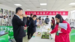 貴州抹茶産品創新大賽“開戰” 特色食材碰撞出無限創意火花