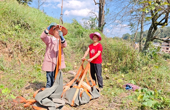 貴州施秉：無人機變身“金翅膀” 南瓜坐上“空中巴士”_fororder_圖為施秉縣楊柳塘鎮農戶正在裝袋掛鉤（潘佳佳攝）