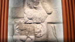 8萬件文物+3萬件化石 文化IP既“吸睛”又“圈粉”