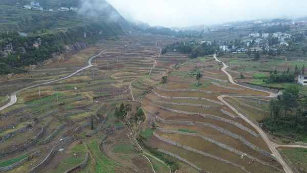 貴州仁懷：30萬畝冬閒田不閒 “高粱+”輪作土地生金_fororder_仁懷市學孔鎮高峰社區高標準農田.JPG