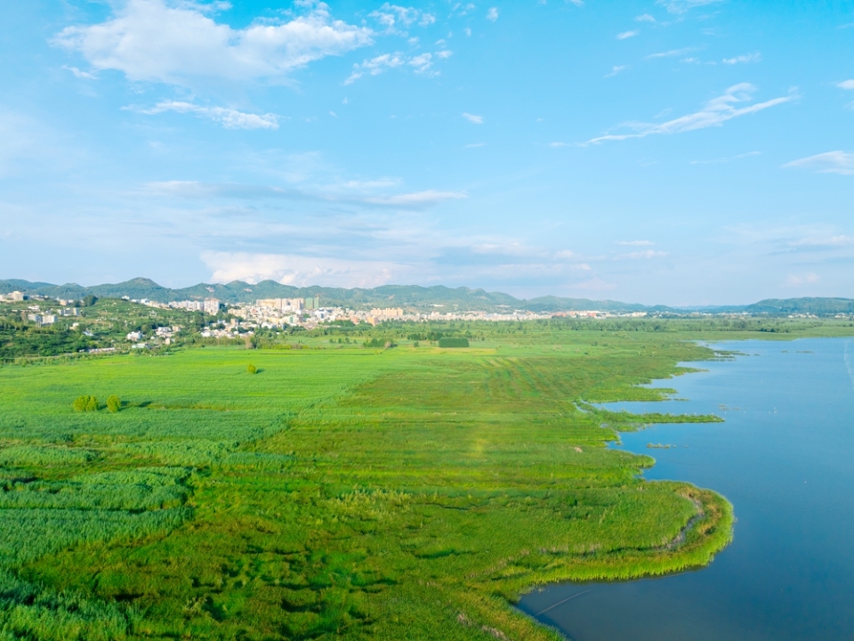 貴州威寧草海17℃“涼”方 生態活力引遊客打卡_fororder_7月30日，草海的綠與遠處的城市相連+管慶巍  攝+18908571373 +2025年7月30日拍攝于威寧草海