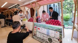 貴州羅甸火龍果産業搭上“貴州農特産業指數矩陣”直通車