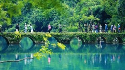 粵貴花開在黔南 | 協作添力，繪就荔波文旅新畫卷