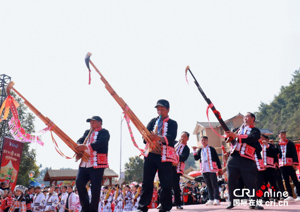 六盤水市六枝特區梭戛鄉舉行苗族“跳花節”活動_fororder_圖片5