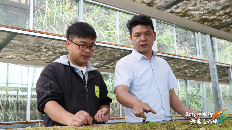 勞動者之歌 | 以初心為墨，書寫紫林山村發展篇章——記“貴州省勞動模範”韋世貴_fororder_17470764304276