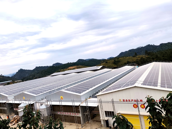雞舍頂上“种太陽” 貴州平塘牧光互補孵出“黃金産業鏈”_fororder_雞舍頂上的光伏發電板
