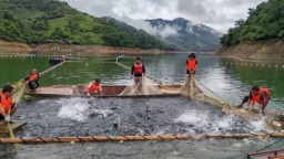 貴州羅甸鳳亭鄉：生態漁業鋪就富民振興路