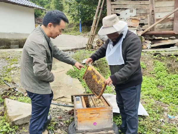 貴州正安：林下養殖蹚出生態致富新路子_fororder_3