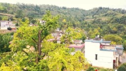 貴州盤州市東衝村以“黨建引領+精細治理”破題鄉村振興