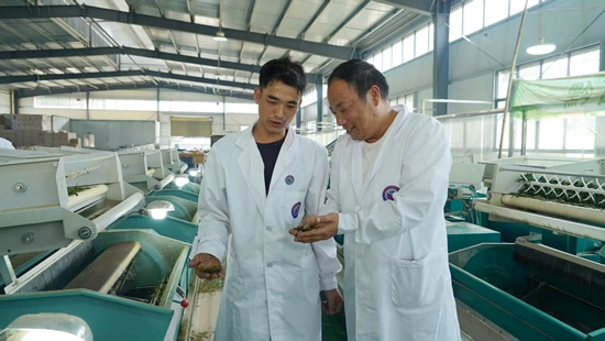 貴州晴隆：以茶為媒 續寫富民強縣新篇章_fororder_微信圖片_20250418145355