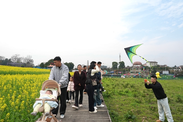 貴州仁懷：春花爛漫引客來 多元業態激活“賞花經濟”_fororder_遊客漫步花田步道