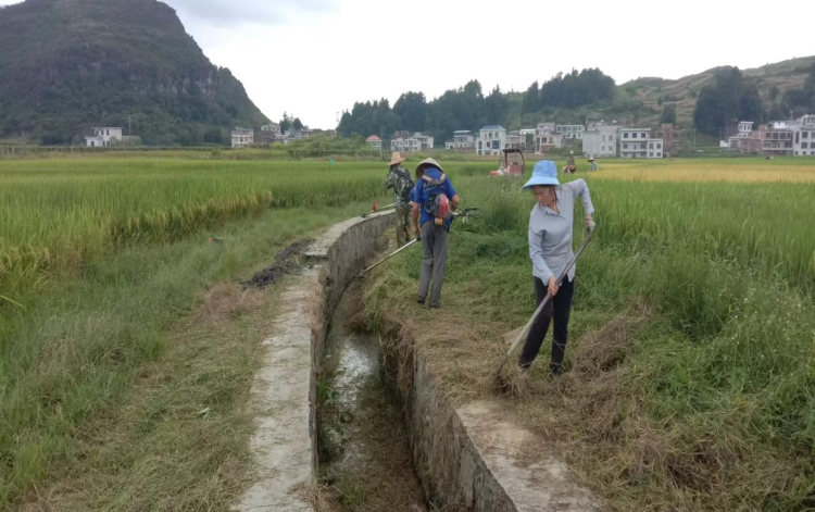 獨山:農業水價綜合改革推動壩區農業生産節水降本增效