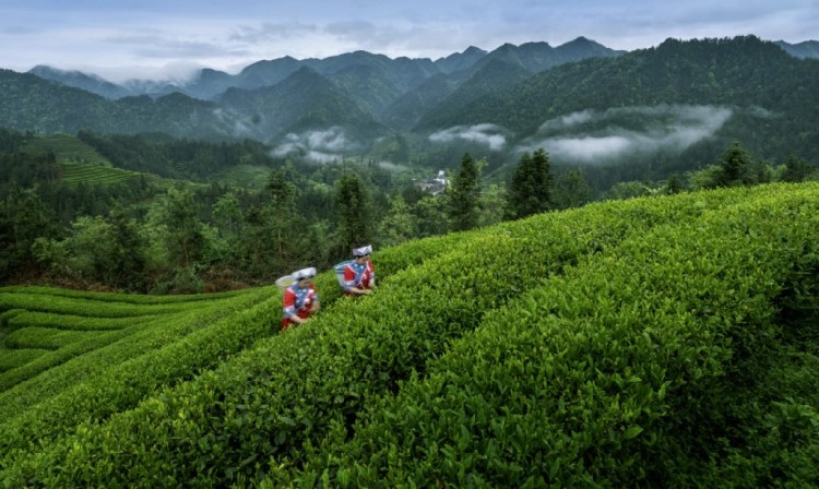 “快”世界裏的“慢”溫度:一場來自貴州的風物之夢_fororder_dD0xNzYxMTgzOTg3X3I9NWE4OGJkNDNfdz0xMDgwX3E9MTAwX2U9cG5n